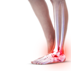 족부,족관절 클리닉 / Foot and Ankle Clinic
